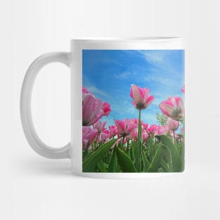 Pink Tulip Fields Mug